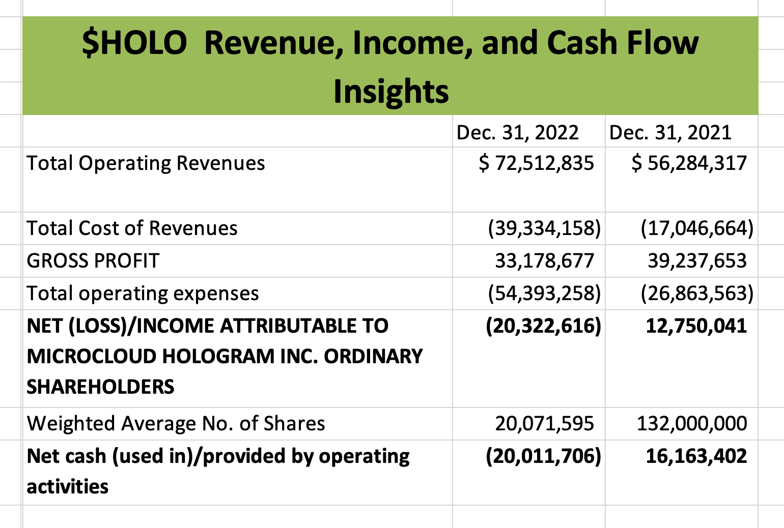 $HOLO Income Statement